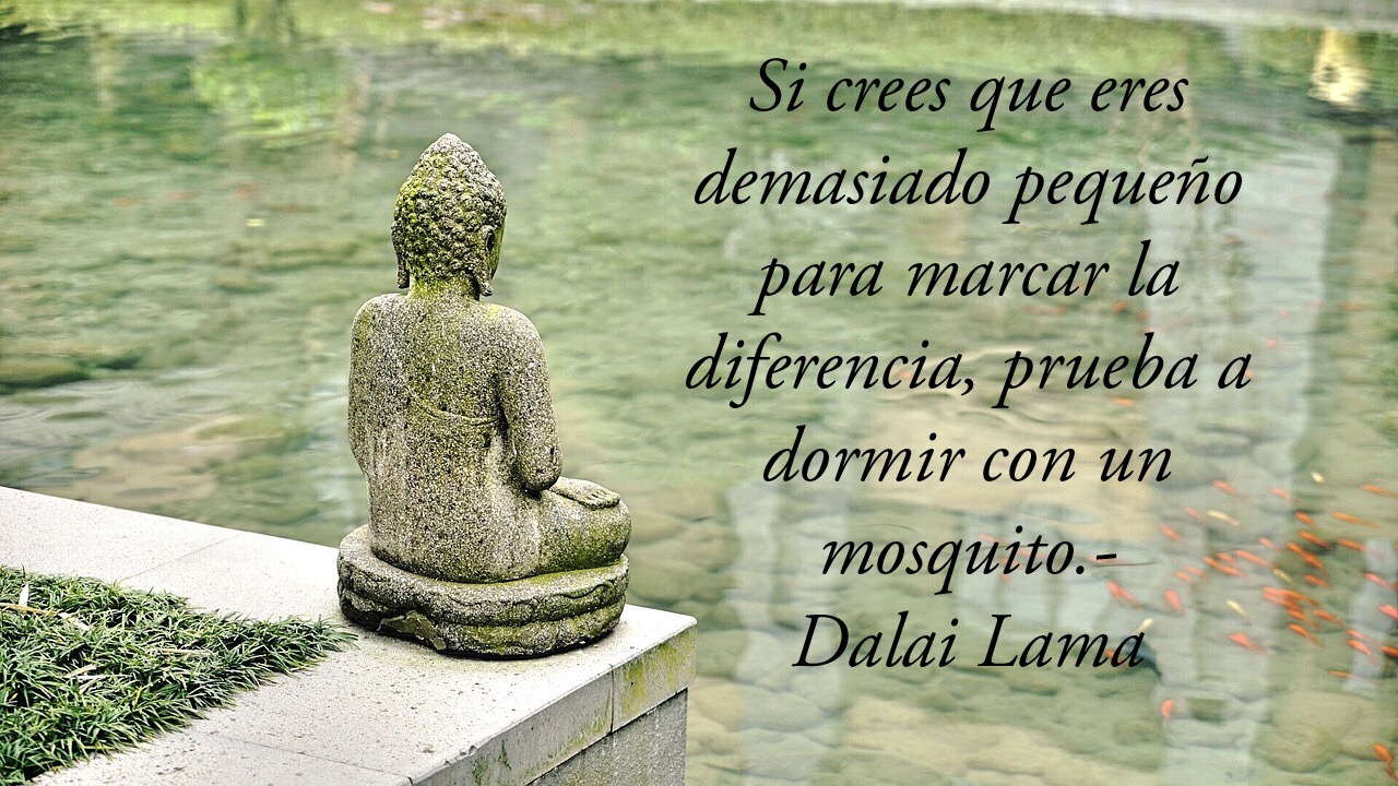 frases dalai lama 4