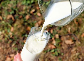 leche vegetal beneficios