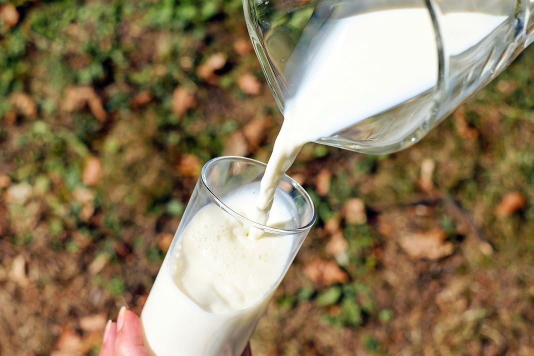 leche vegetal beneficios